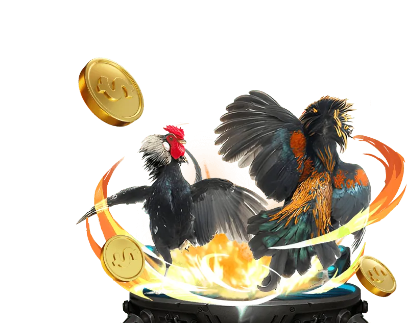 Chương trình VIP 678win bet