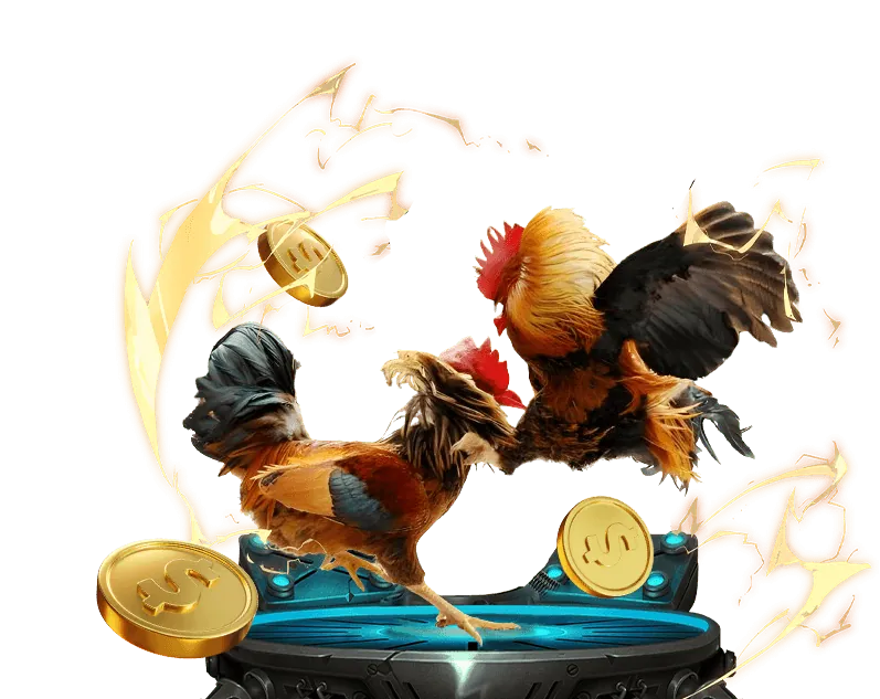 Hoàn trả hàng ngày 678win bet